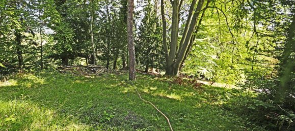 Земельный участок в Андриц, Австрия № 42014 5