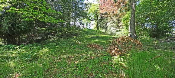 Земельный участок в Андриц, Австрия № 42014 10