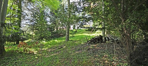 Земельный участок в Андриц, Австрия № 42014 9