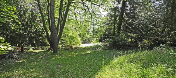 Земельный участок в Андриц, Австрия № 42014 7