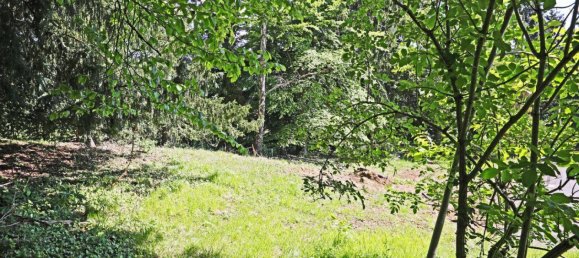 Земельный участок в Андриц, Австрия № 42014 11