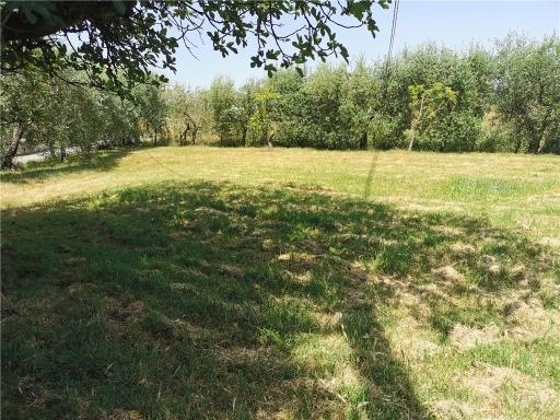 Casa de 15 divisões em San Miniato, Italy N.º 17875