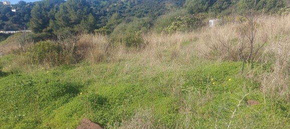 2 Schlafzimmer Haus in Estepona, Spain, Nr. 123490 3