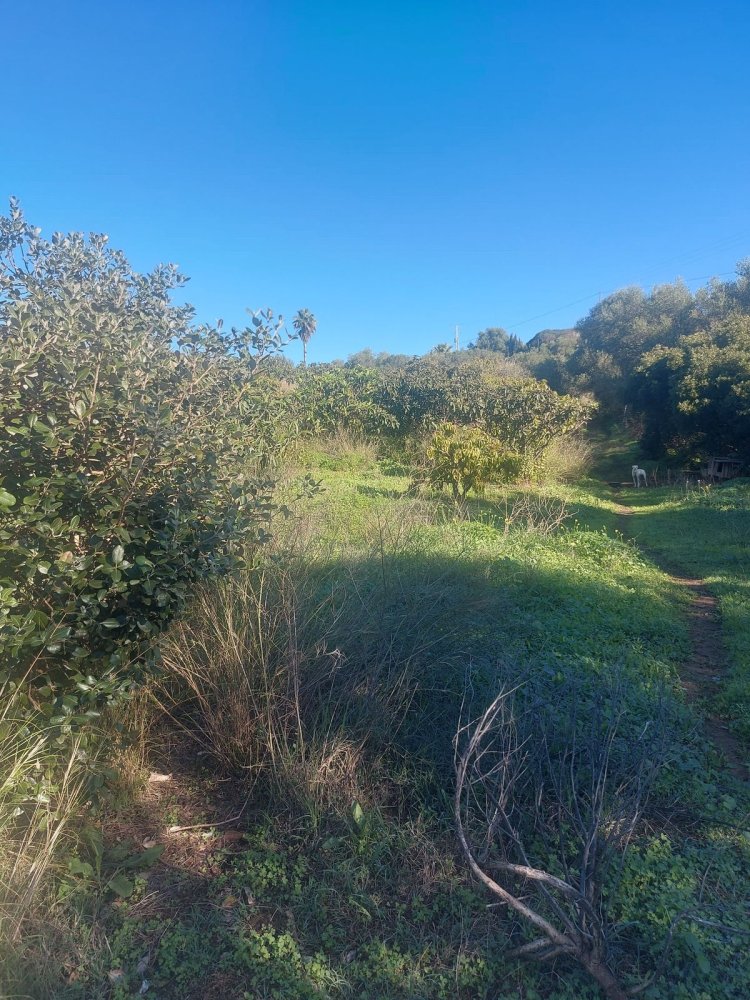 2 Schlafzimmer Haus in Estepona, Spain, Nr. 123490