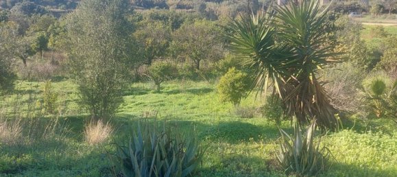 2 Schlafzimmer Haus in Estepona, Spain, Nr. 123490 12