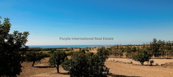 7 غرف نوم فيلا في Kouklia, Cyprus رقم 994 6