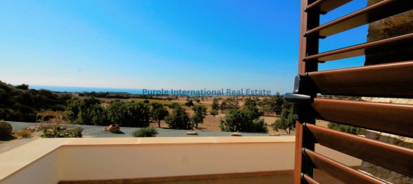 7 غرف نوم فيلا في Kouklia, Cyprus رقم 994 8