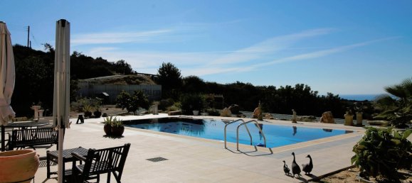 7 غرف نوم فيلا في Kouklia, Cyprus رقم 994 26