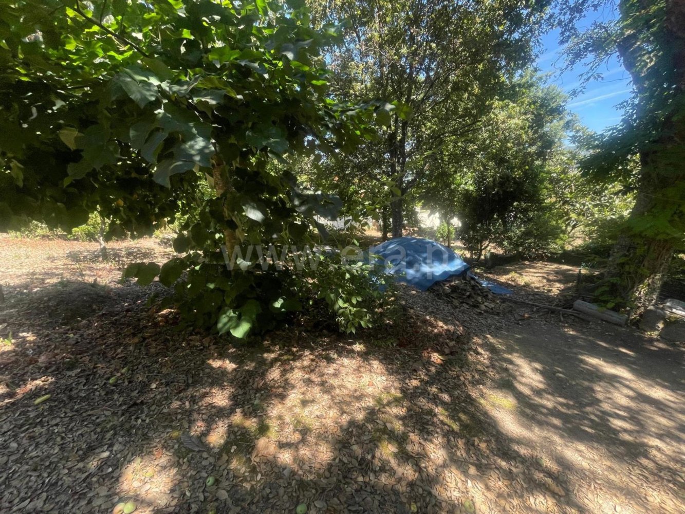300m² Land in Barcelos, Portugal No. 330775