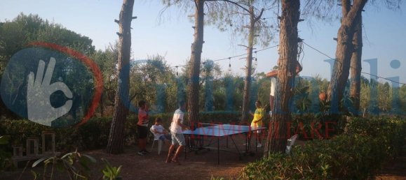 8 rooms Villa in Taranto, Italy No. 110858 5