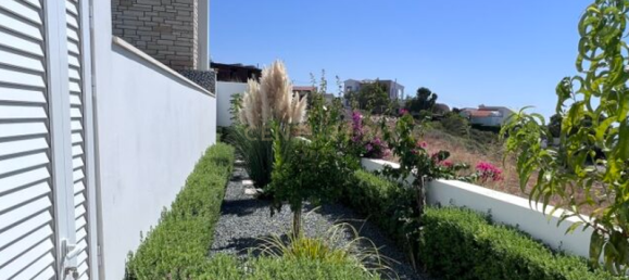 4 bedrooms Villa in Paphos, Cyprus No. 6297 14