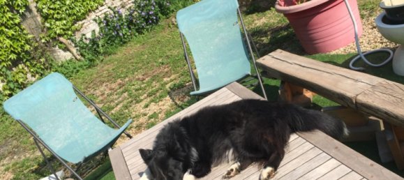 3 bedrooms Villa in Dohis, France No. 64387 29