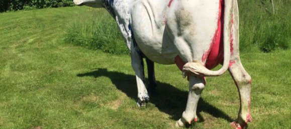 3 bedrooms Villa in Dohis, France No. 64387 12