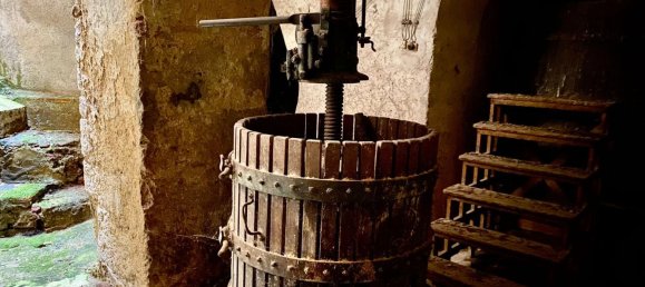 196m² Commercial property in Massa Marittima, Italy No. 315378 5