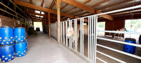 17-Zimmer Bauernhof in Cham, Germany, Nr. 266937 7