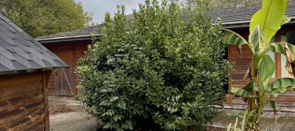 5 chambres Maison à Creuse, France No. 337756 6