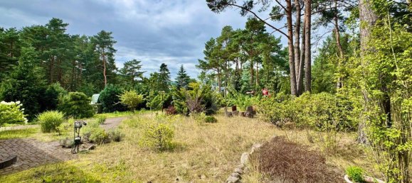 Бунгало с 2 спальнями в Даме-Шпревальд, Германия № 314465 3