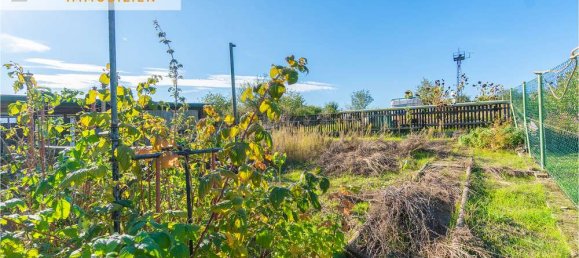 3 bedrooms Townhouse in Harz, Germany No. 147339 26