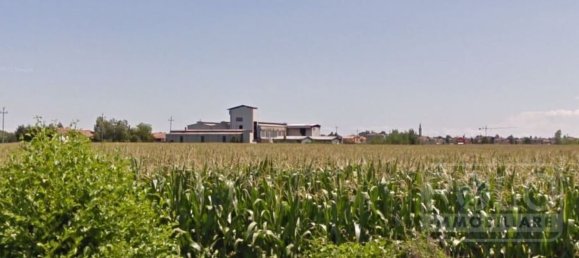 Almacén en Villafranca Padovana, Italy 12200 m² No. 110502 7