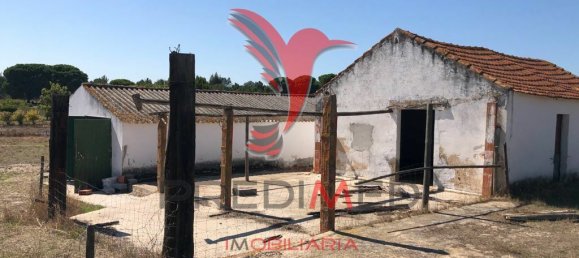 69650m² Land in Grandola, Portugal No. 76166 14