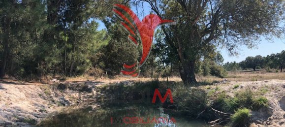 69650m² Land in Grandola, Portugal No. 76166 17