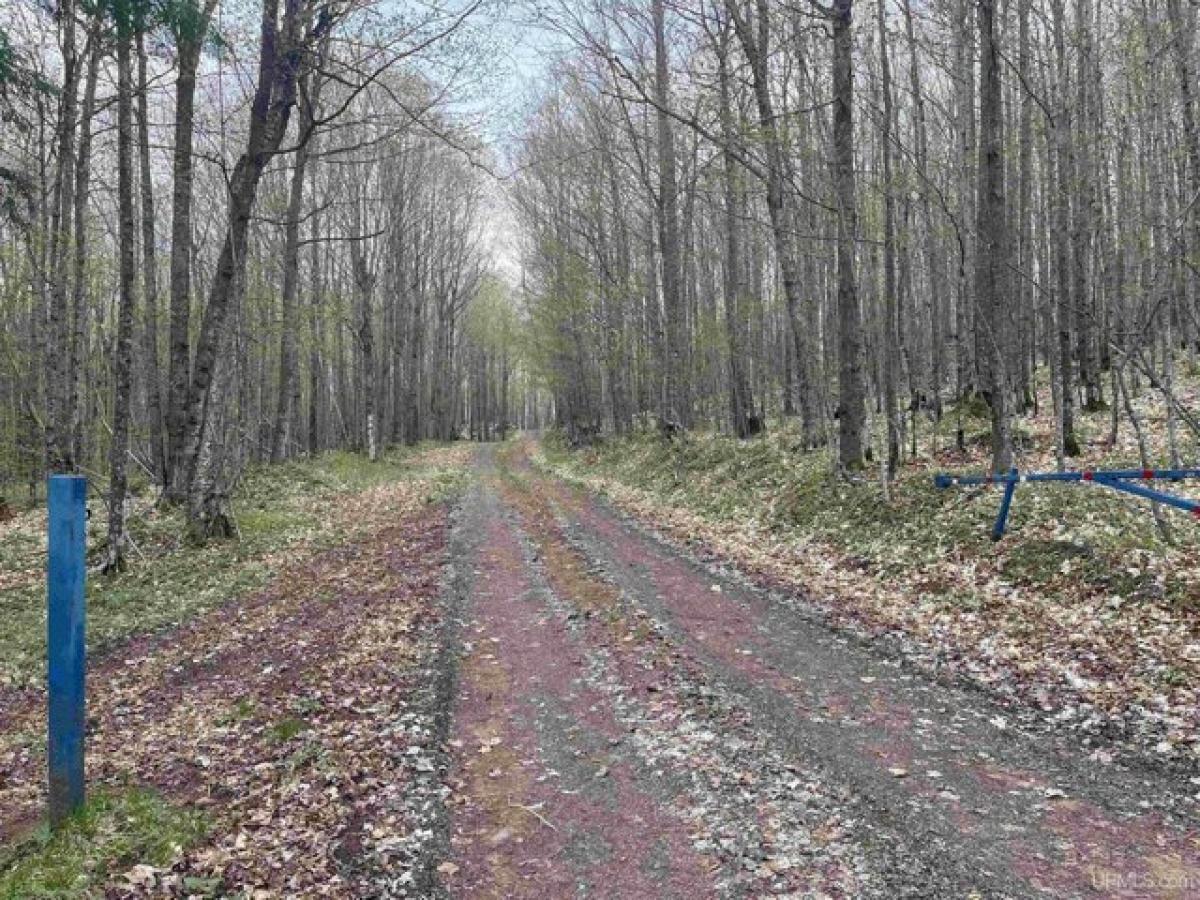  Land in Ironwood, USA No. 480367