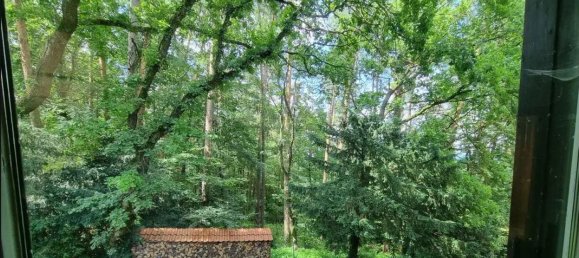 11 rooms Villa in Nurnberger Land, Germany No. 312665 17