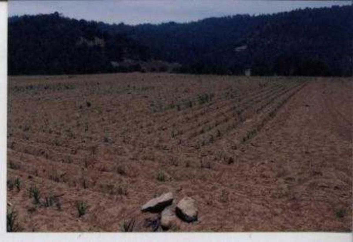 Земельный участок в Лерма, Мексика № 203107