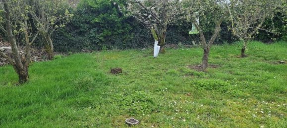 1 chambre Maison à Bragny-sur-Saône, France No. 204309 5