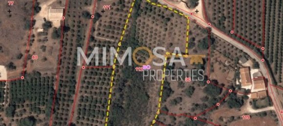 قطعة أرض في Silves, Portugal 8240متر مربع رقم 44828 7