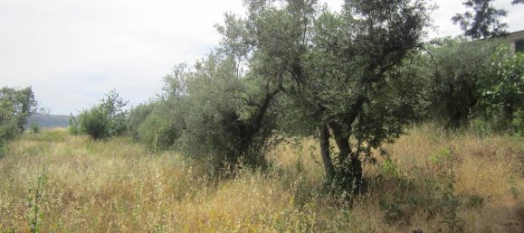 3 chambres Maison à Agnone, Italy No. 328492 49