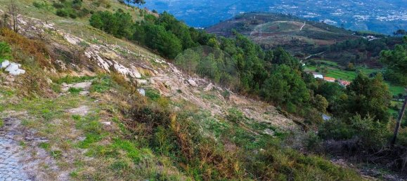  قطعة أرض في Baiao, Portugal 5364متر مربع رقم 47339 3