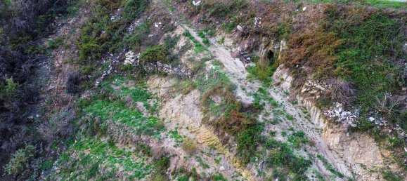  قطعة أرض في Baiao, Portugal 5364متر مربع رقم 47339 9