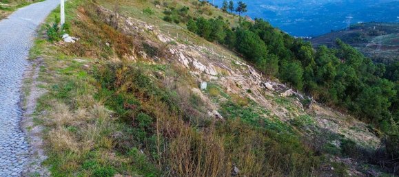  قطعة أرض في Baiao, Portugal 5364متر مربع رقم 47339 5