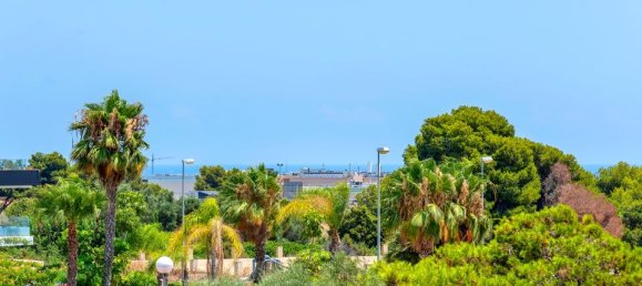 2 bedrooms Apartment in La Zenia, Spain No. 177284 30