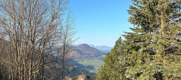 Terrain à Steinbach an der Steyr, Austria 835m² No. 243583 13