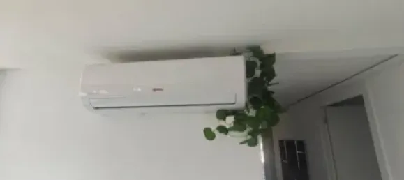 4 غرف نوم شقة في Petrer, Spain رقم 137190 24