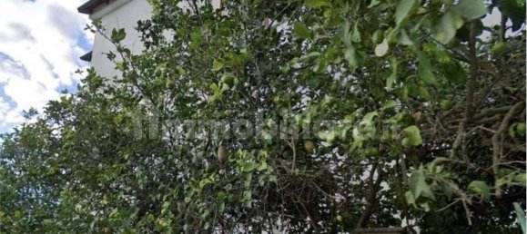 4 Schlafzimmer Wohnung in Quarto, Italy, Nr. 12928 27