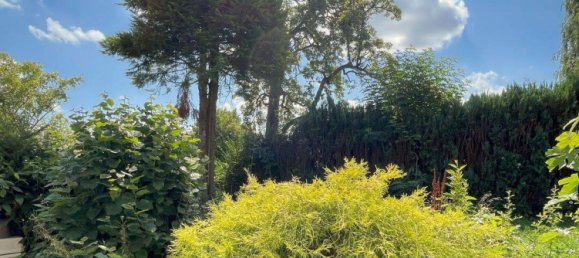 6-salle Maison à Soest, Germany No. 335621 9