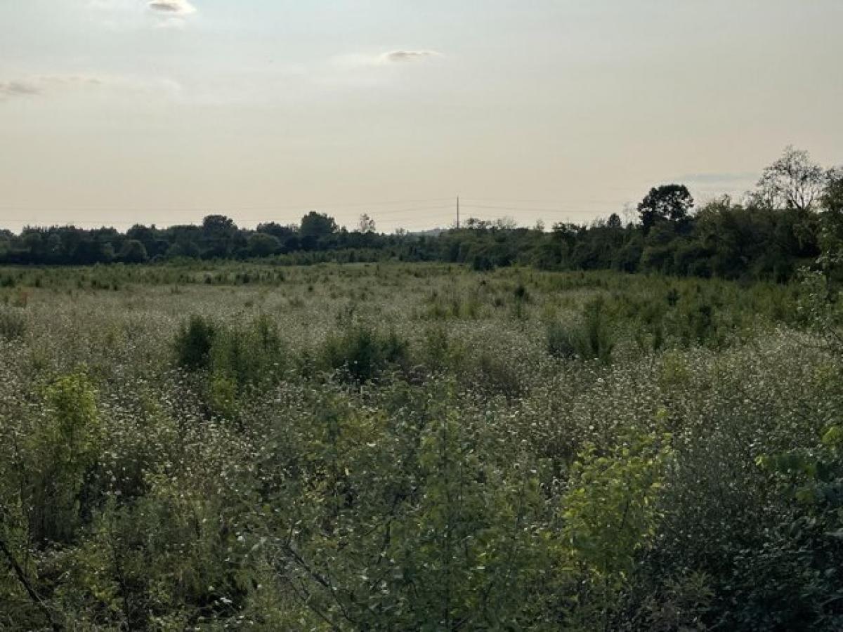  Land in Ypsilanti, USA No. 492056