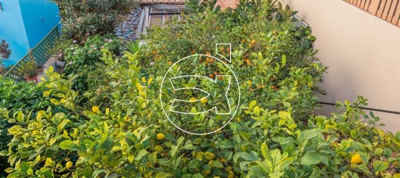 5 غرف نوم تاون هاوس في Palma de Majorca, Spain رقم 70307 8