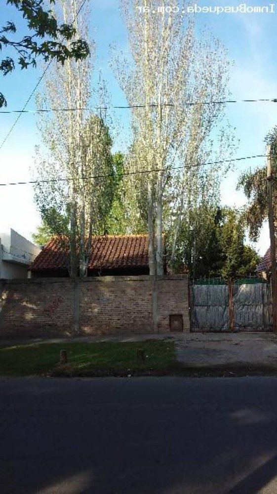 Estudio en Campo Creado, Argentina No. 7117
