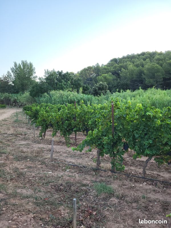 Terrain à Occitanie, France No. 342124