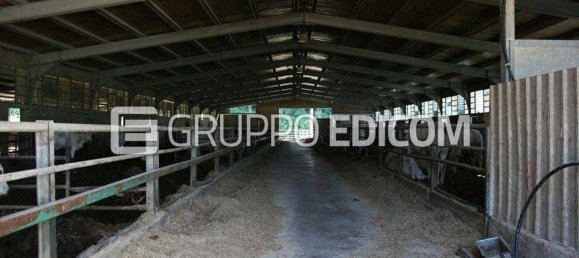  بناية في Amelia, Italy 500متر مربع رقم 289674 4