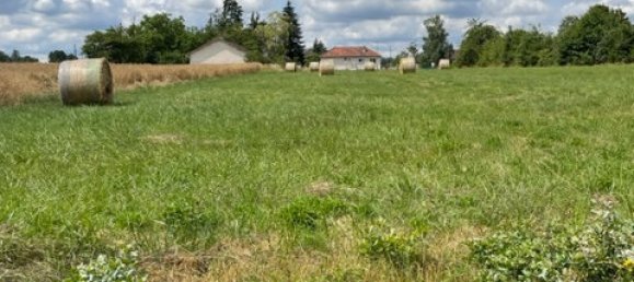  Land in Beaulieu-sur-Loire, France No. 247137 4