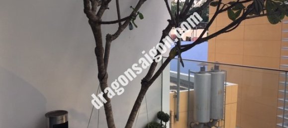  شقة في District 3, Vietnam 175متر مربع رقم 10596 5