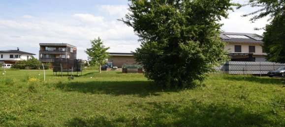 Land in Lustenau, Austria No. 164640 2