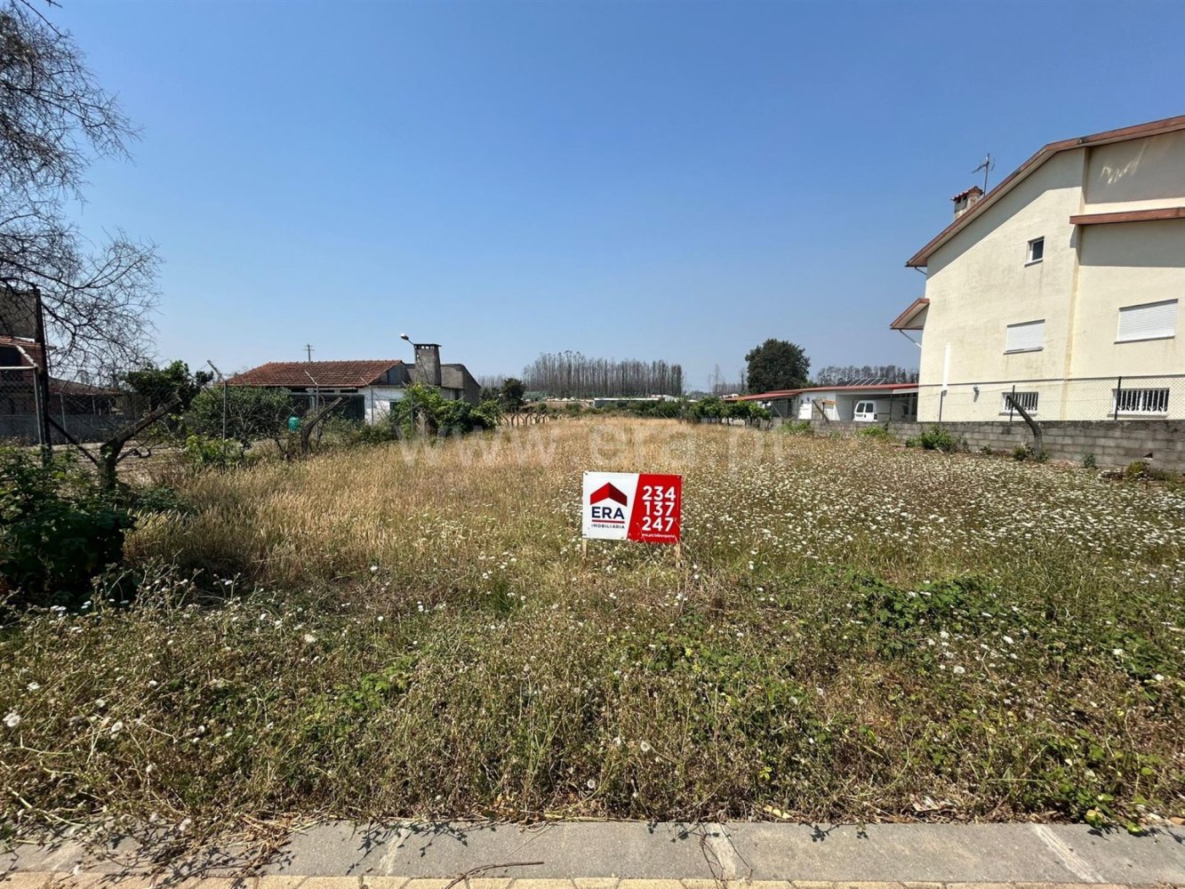  Land in Albergaria a Velha, Portugal No. 213667