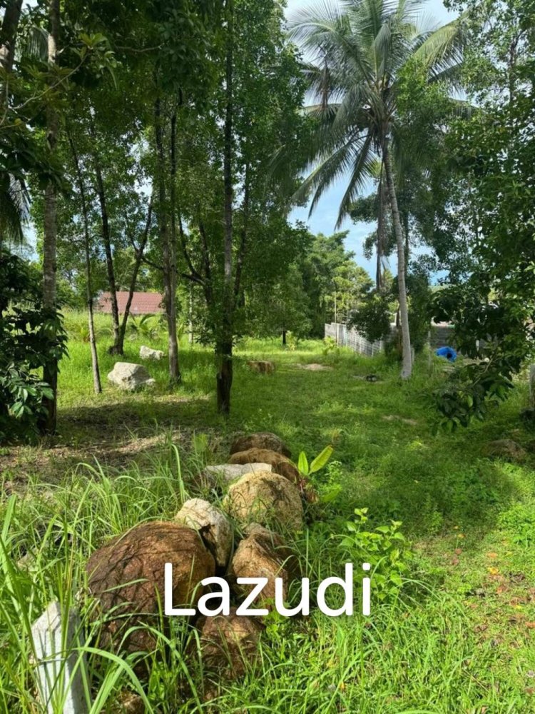  Commercial property in Surat Thani, Thailand No. 24941