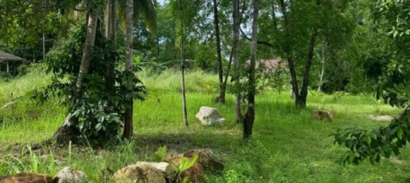  Commercial property in Surat Thani, Thailand No. 24941 2